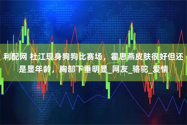 利配网 杜江现身狗狗比赛场，霍思燕皮肤很好但还是显年龄，胸部下垂明显_网友_骆驼_爱情