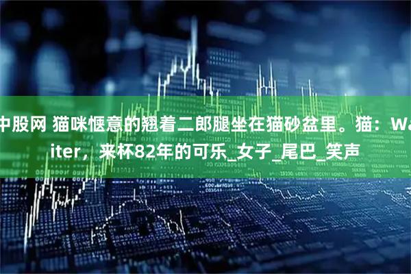 中股网 猫咪惬意的翘着二郎腿坐在猫砂盆里。猫：Waiter，来杯82年的可乐_女子_尾巴_笑声